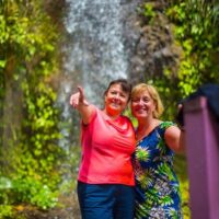 Bus & Minivan Tours