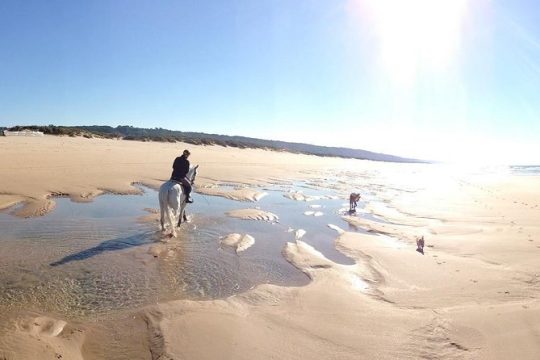 Valentine's Day in Almada