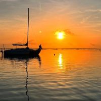 Brunch Cruises