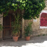 Archaeology Tours