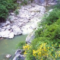 Walking Tours