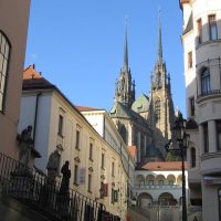 City Tours