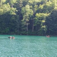 Eco Tours