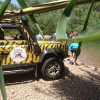 Private Sightseeing Tours