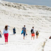 Eco Tours
