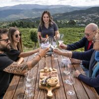 Wine Tasting & Winery Tours