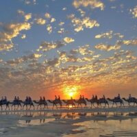 Luxury Tours