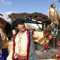 Theme Park Tickets & Tours