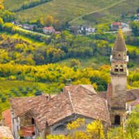 Bus & Minivan Tours