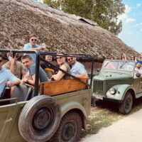 Bus & Minivan Tours