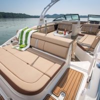 Day Cruises