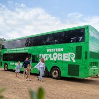 Hop-on Hop-off Tours