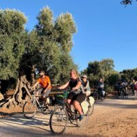 Eco Tours