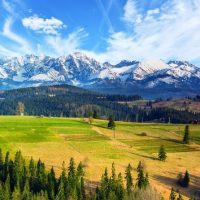 Eco Tours