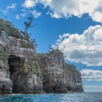 Half-day Tours