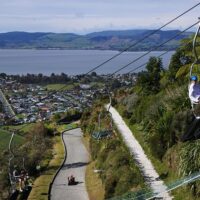 Private & Custom Tours