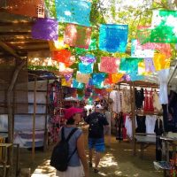 Shore Excursions