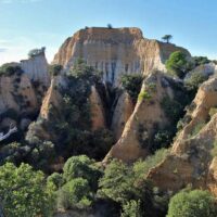 Half-day Tours