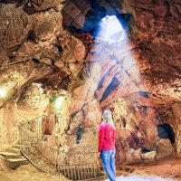 Bus & Minivan Tours