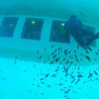 Boat Tours