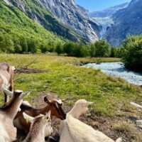 Ports of Call Tours