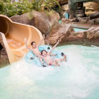 Attraction Tickets