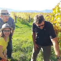 Holiday & Seasonal Tours