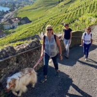 Cultural & Theme Tours