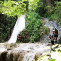 Luxury Tours