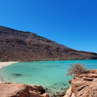 Full-day Tours