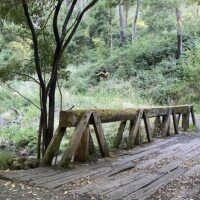 Sustainable Tours