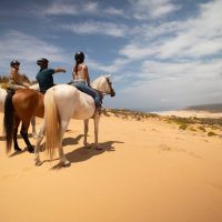 Horseback Riding