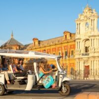 Bus & Minivan Tours