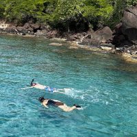 Private Sightseeing Tours