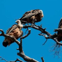 Photography Tours
