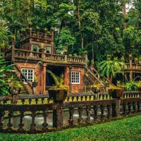 Eco Tours