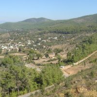 Private & Custom Tours