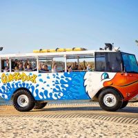 Cruises, Sailing & Water Tours
