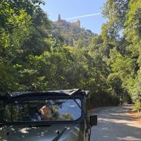 Day Trips & Excursions