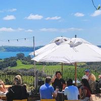 Wine Tasting & Winery Tours