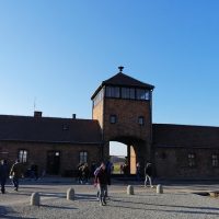 Day Trips & Excursions
