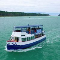 Shore Excursions
