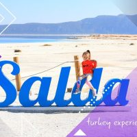 Private & Custom Tours