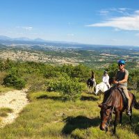 Horseback Riding
