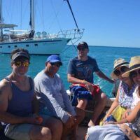 Dolphin & Whale Watching