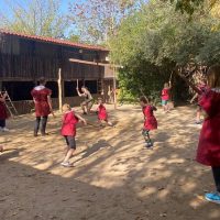 Martial Arts Classes