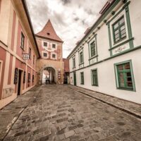 Tours & Sightseeing