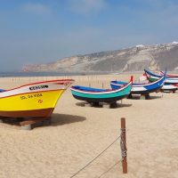 Cultural & Theme Tours