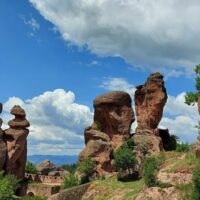 Bus & Minivan Tours