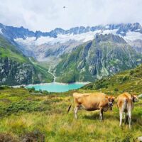 Full-day Tours